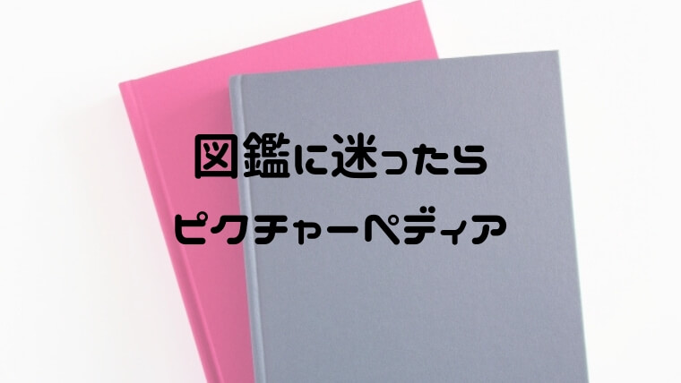 ピクチャーペディアがすごい 子供も大人も夢中になる間違いない1冊 おうち知育辞典