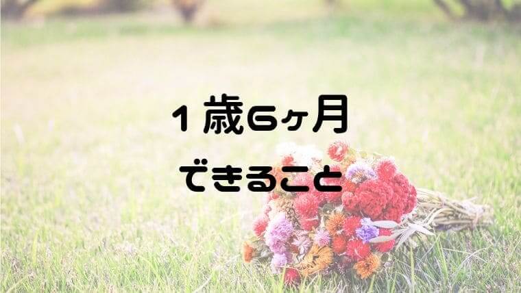 1歳6ヶ月のできることってどれくらい 幼児塾の発達標準は高すぎる おうち知育辞典