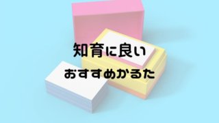 フラッシュカードのおすすめジャンル一覧 やってよかった毎日の知育 おうち知育辞典