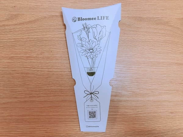 Bloomee LIFE800円箱