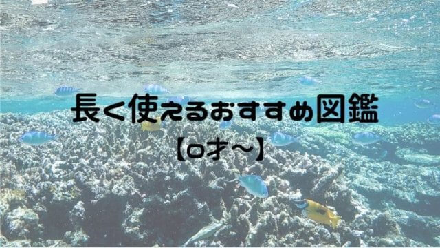 0歳1歳から長く使える図鑑のおすすめ 赤ちゃんが物の名前を覚えるには おうち知育辞典