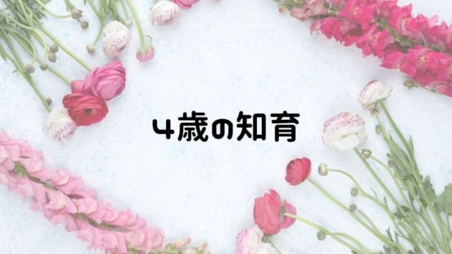 4歳の知育でやっておきたいこと 知育遊び 取り組み 働きかけ一覧 おうち知育辞典