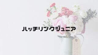 ハッチリンクジュニア